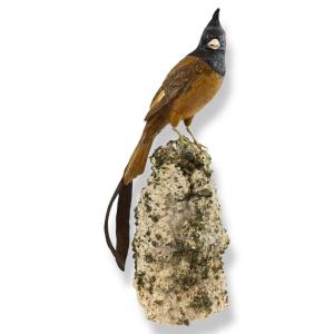 Erwin Klein - Bird Made Of Hard Stone And Semi-precious Stones - Switzerland 1980s